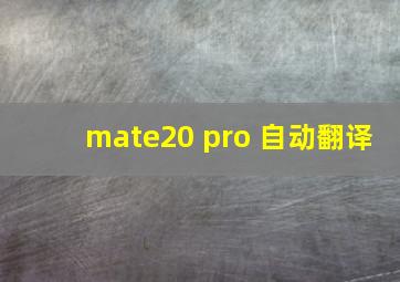 mate20 pro 自动翻译